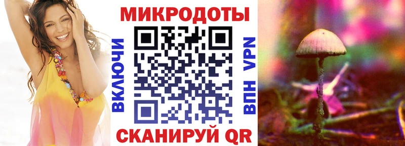 продажа наркотиков  Южа  Псилоцибиновые грибы MAGIC MUSHROOMS 